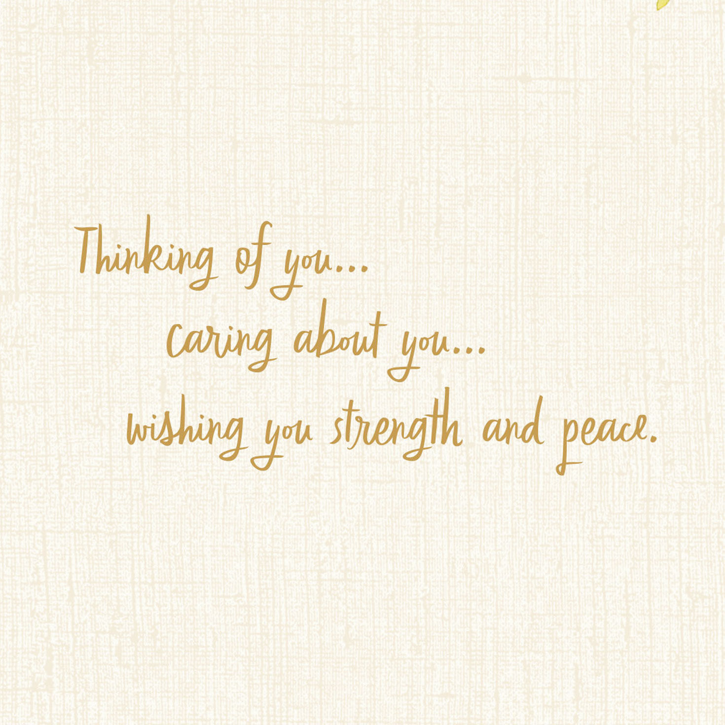 Questioning of Yourself Playing cards Hallmark photograph regarding Printable Thinking of You Cards named Questioning of Your self Playing cards Hallmark
